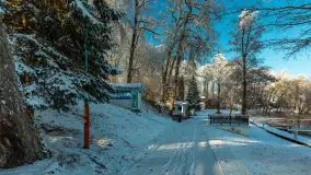 Zima w porcie Łabędzi Ostrów w Pięknej Górze, listopada 2023 r. - zdjęcie 3