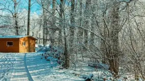 Zima w porcie Łabędzi Ostrów w Pięknej Górze, listopada 2023 r. - zdjęcie 30