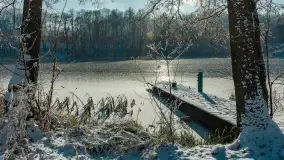 Zima w porcie Łabędzi Ostrów w Pięknej Górze, listopada 2023 r. - zdjęcie 49