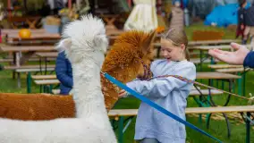 Fotorelacja ze Święta Ziemniaka w Mazurskim raju, październik 2023 r. - zdjęcie 22