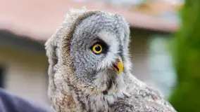 Fotorelacja ze Święta Ziemniaka w Mazurskim raju, październik 2023 r. - zdjęcie 72