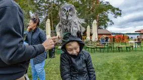 Fotorelacja ze Święta Ziemniaka w Mazurskim raju, październik 2023 r. - zdjęcie 26