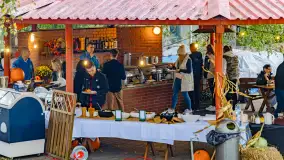 Fotorelacja ze Święta Ziemniaka w Mazurskim raju, październik 2023 r. - zdjęcie 51