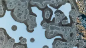 Port w Sztynorcie w zimowej odsłonie pod koniec listopada 2023 r. - zdjęcie 39