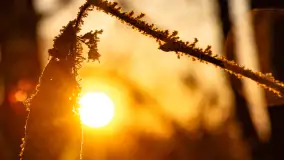 Zimowy zachód słońca nad jeziorem Mój, listopad 2023 r. - zdjęcie 16