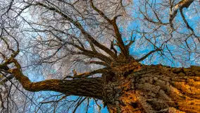 Zimowy zachód słońca nad jeziorem Mój, listopad 2023 r. - zdjęcie 4