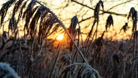 Zimowy zachód słońca nad jeziorem Mój, listopad 2023 r. - zdjęcie 18