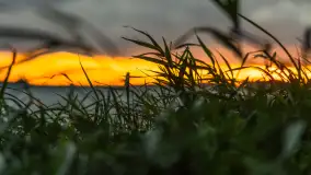 Cieniutki... zachód słońca nad jeziorem Dargin, listopad 2023 - zdjęcie 11