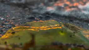 Cieniutki... zachód słońca nad jeziorem Dargin, listopad 2023 - zdjęcie 13