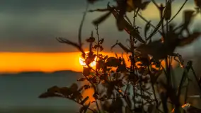 Cieniutki... zachód słońca nad jeziorem Dargin, listopad 2023 - zdjęcie 28