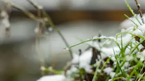 Zwalony most w Kruklankach w zimowej scenerii... bez słońca, listopad 2023 r. - zdjęcie 23