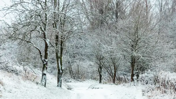 Zwalony most w Kruklankach w zimowej scenerii... bez słońca, listopad 2023 r. - zdjęcie 7