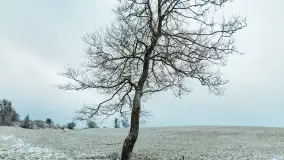 Zwalony most w Kruklankach w zimowej scenerii... bez słońca, listopad 2023 r. - zdjęcie 26