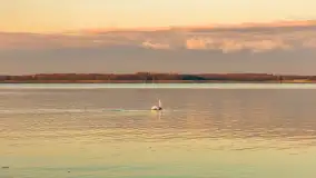 Jesienny biwak ekipy Mazury24 nad Darginem, listopad 2023 r. - zdjęcie 28