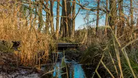 Jesienny biwak ekipy Mazury24 nad Darginem, listopad 2023 r. - zdjęcie 25