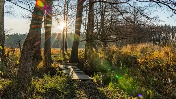 Jesienny biwak ekipy Mazury24 nad Darginem, listopad 2023 r.