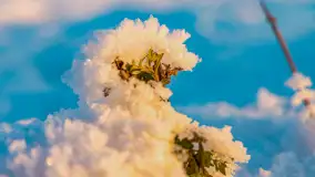 Wschód słońca w okolicach wsi Podlasie, grudzień 2023 r. - zdjęcie 21