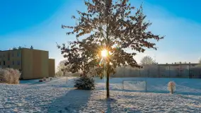 Zimowy poranek w okolicach Wopławek k/Kętrzyna - zdjęcie 37