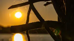 Letni zachód słońca w Marina Lester Club, lipiec 2023 r. - zdjęcie 19