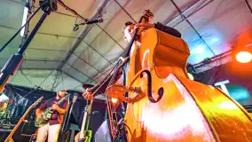 Sztynort Blues Festiwal 2023, fotorelacja - zdjęcie 38