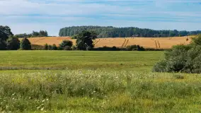 Zwierzęta i ptaki na zdjęciach z szuflady, 2023 rok - zdjęcie 10