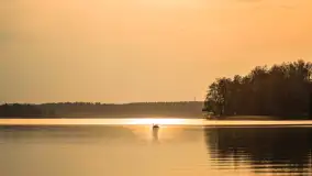 Zwierzęta i ptaki na zdjęciach z szuflady, 2023 rok - zdjęcie 4