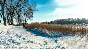 Stranda w mrozie i śniegu, styczeń 2024 r. - zdjęcie 33