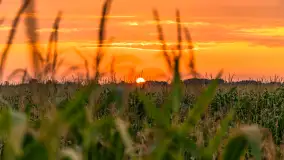 Zachód słońca na wschodnich obrzeżach Kętrzyna, sierpień 2023 r. - zdjęcie 12