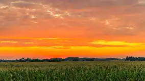 Zachód słońca na wschodnich obrzeżach Kętrzyna, sierpień 2023 r. - zdjęcie 20