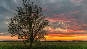 Zachód słońca na wschodnich obrzeżach Kętrzyna, sierpień 2023 r. - zdjęcie 1