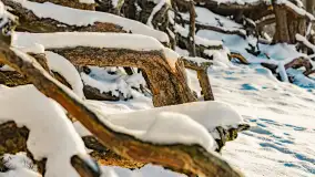 Zimowy spacer nad jeziorem Gołdopiwo niedaleko Żabinki, styczeń 2024 r. - zdjęcie 21