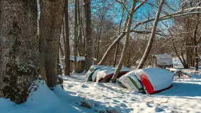 Zima nad jeziorem Dziewiszewskie w Dziewiszowie, styczeń 2024 r. - zdjęcie 25