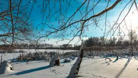 Zima nad jeziorem Dziewiszewskie w Dziewiszowie, styczeń 2024 r. - zdjęcie 35
