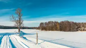 Zima nad jeziorem Dziewiszewskie w Dziewiszowie, styczeń 2024 r. - zdjęcie 37