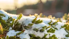 Jezioro Tajty i wieś Wrony przed zachodem słońca, styczeń 2024 r. - zdjęcie 29