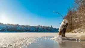 Zimowa rzeka Dajna niedaleko Wilkowa, styczeń 2024 r. - zdjęcie 37