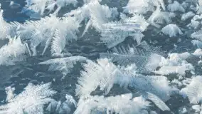 Zimowa rzeka Dajna niedaleko Wilkowa, styczeń 2024 r. - zdjęcie 26