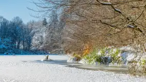 Zimowa rzeka Dajna niedaleko Wilkowa, styczeń 2024 r. - zdjęcie 19