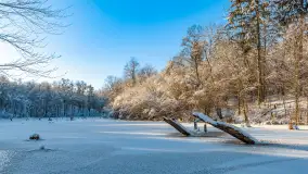 Zimowa rzeka Dajna niedaleko Wilkowa, styczeń 2024 r. - zdjęcie 6