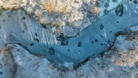 Zimowa rzeka Dajna niedaleko Wilkowa, styczeń 2024 r. - zdjęcie 20