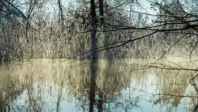 Zima nad rzeką Dajna, witajcie na bajecznych Mazurach, styczeń 2024 r. - zdjęcie 11