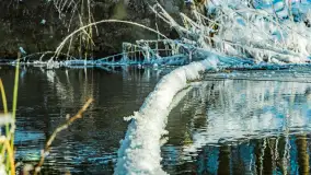 Zima nad rzeką Dajna, witajcie na bajecznych Mazurach, styczeń 2024 r. - zdjęcie 47