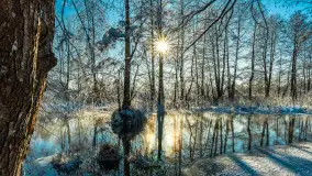 Zima nad rzeką Dajna, witajcie na bajecznych Mazurach, styczeń 2024 r. - zdjęcie 10