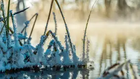 Zima nad rzeką Dajna, witajcie na bajecznych Mazurach, styczeń 2024 r. - zdjęcie 45