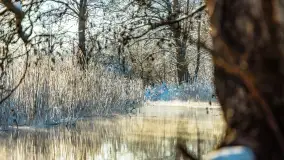 Zima nad rzeką Dajna, witajcie na bajecznych Mazurach, styczeń 2024 r. - zdjęcie 7