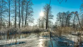 Zima nad rzeką Dajna, witajcie na bajecznych Mazurach, styczeń 2024 r. - zdjęcie 39