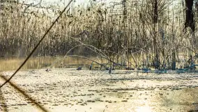 Zima nad rzeką Dajna, witajcie na bajecznych Mazurach, styczeń 2024 r. - zdjęcie 30