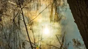 Zima nad rzeką Dajna, witajcie na bajecznych Mazurach, styczeń 2024 r. - zdjęcie 42