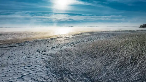 Zima nad jeziorem Dargin, styczeń 2024 r. - zdjęcie 5