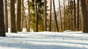 Biwak ekipy Mazury24 nad jeziorem Kruklin, styczeń 2024 r. - zdjęcie 28